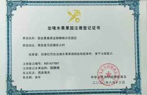 乳酸菌肥料助力猕猴桃品质升级，陕西西安科技成果转化推动果业新发展